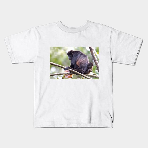 Howler monkeys - Costa Rica Kids T-Shirt by Jim Cumming